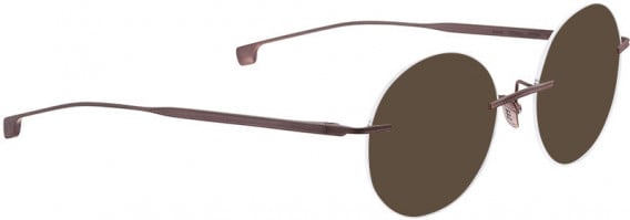 ENTOURAGE OF 7 ICONS-7001 sunglasses in Matt Brown