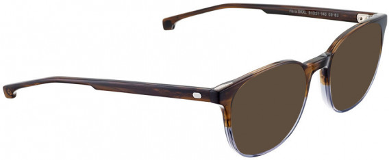 ENTOURAGE OF 7 HANK-SKXL sunglasses in Brown