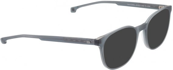 ENTOURAGE OF 7 HANK-SKXL sunglasses in Matt Grey Transparent