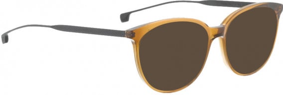 ENTOURAGE OF 7 HAILEY sunglasses in Brown Transparent