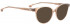 ENTOURAGE OF 7 EMILY sunglasses in Brown Transparent