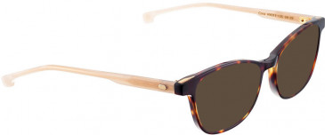ENTOURAGE OF 7 CORA sunglasses in Brown