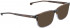 ENTOURAGE OF 7 BODE-55 sunglasses in Brown Pattern