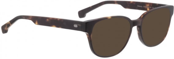 ENTOURAGE OF 7 BLAKELY sunglasses in Dark Brown Matt