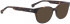 ENTOURAGE OF 7 BLAKELY sunglasses in Dark Brown Matt