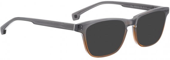 ENTOURAGE OF 7 ALLY sunglasses in Grey Brown