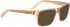 BELLINGER VOLTHER-2 sunglasses in Light Brown