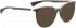 BELLINGER TWIGS-3 sunglasses in Grey-Brown Pattern