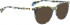 BELLINGER TWIGS-3 sunglasses in Blue Pattern