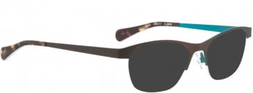 BELLINGER SPIRIT sunglasses in Brown