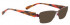 BELLINGER SPIRAL-4 sunglasses in Brown