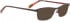 BELLINGER SLIMLINE-1 sunglasses in Brown
