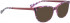 BELLINGER SISSA sunglasses in Purple Black Pattern