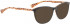 BELLINGER POP sunglasses in Black Pattern