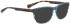 BELLINGER PIT-6 sunglasses in Blue Brown