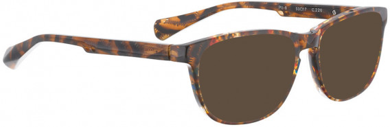 BELLINGER PIT-6 sunglasses in Brown Pattern