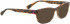 BELLINGER LUCY-52 sunglasses in Matt Brown/Pink Pattern