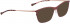BELLINGER LESS-TITAN-5911 sunglasses in Red