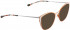 BELLINGER LESS-TIT-5981 sunglasses in Matt Copper