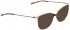 BELLINGER LESS1981 sunglasses in Brown