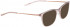 BELLINGER LESS1931 sunglasses in Matt Transparent