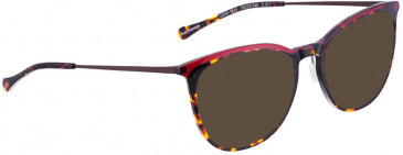 BELLINGER LESS1915 sunglasses in Brown