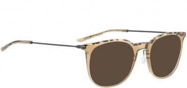 BELLINGER LESS1885 sunglasses in Brown Transparent