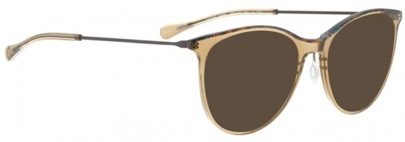 BELLINGER LESS1884 sunglasses in Brown Transparent