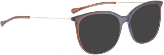 BELLINGER LESS1842 sunglasses in Grey/Brown Transparent