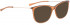 BELLINGER LESS1816 sunglasses in Brown Transparent