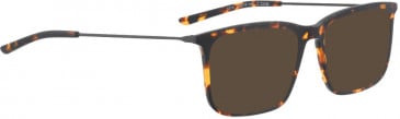BELLINGER LESS1814 sunglasses in Brown Pattern