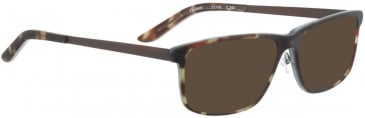 BELLINGER FIREBIRD sunglasses in Brown