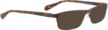 BELLINGER DEXTER-2 sunglasses in Brown