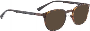 BELLINGER CIRCLE-3 sunglasses in Brown Tortoise
