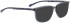 BELLINGER BRAVE-2 sunglasses in Grey Patten