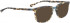 BELLINGER BRAVE-2 sunglasses in Brown Pattern