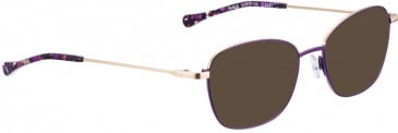 BELLINGER BOLD-5 sunglasses in Aubergine
