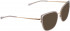 BELLINGER ARC-X sunglasses in Grey