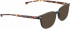 ENTOURAGE OF 7 WILDER sunglasses in Black