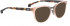 ENTOURAGE OF 7 PIPPA sunglasses in Milky Brown
