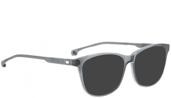 ENTOURAGE OF 7 MICHELLE sunglasses in Grey Transparent