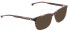 ENTOURAGE OF 7 LOGAN sunglasses in Brown
