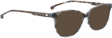 ENTOURAGE OF 7 KAITLYN sunglasses in Brown Pattern