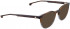 ENTOURAGE OF 7 HANK-SKXL sunglasses in Brown