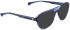 ENTOURAGE OF 7 FARLEY sunglasses in Blue