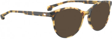 ENTOURAGE OF 7 AVY sunglasses in Tortoise