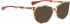 BELLINGER SNUG sunglasses in Red Pattern