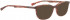 BELLINGER MOOD sunglasses in Red Pattern