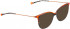 BELLINGER LESS1981 sunglasses in Grey