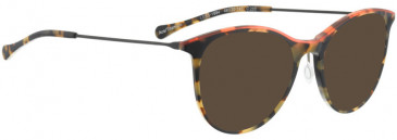 BELLINGER LESS1884 sunglasses in Brown Pattern